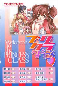 XTube Princess Class E Youkoso  Bosom 5