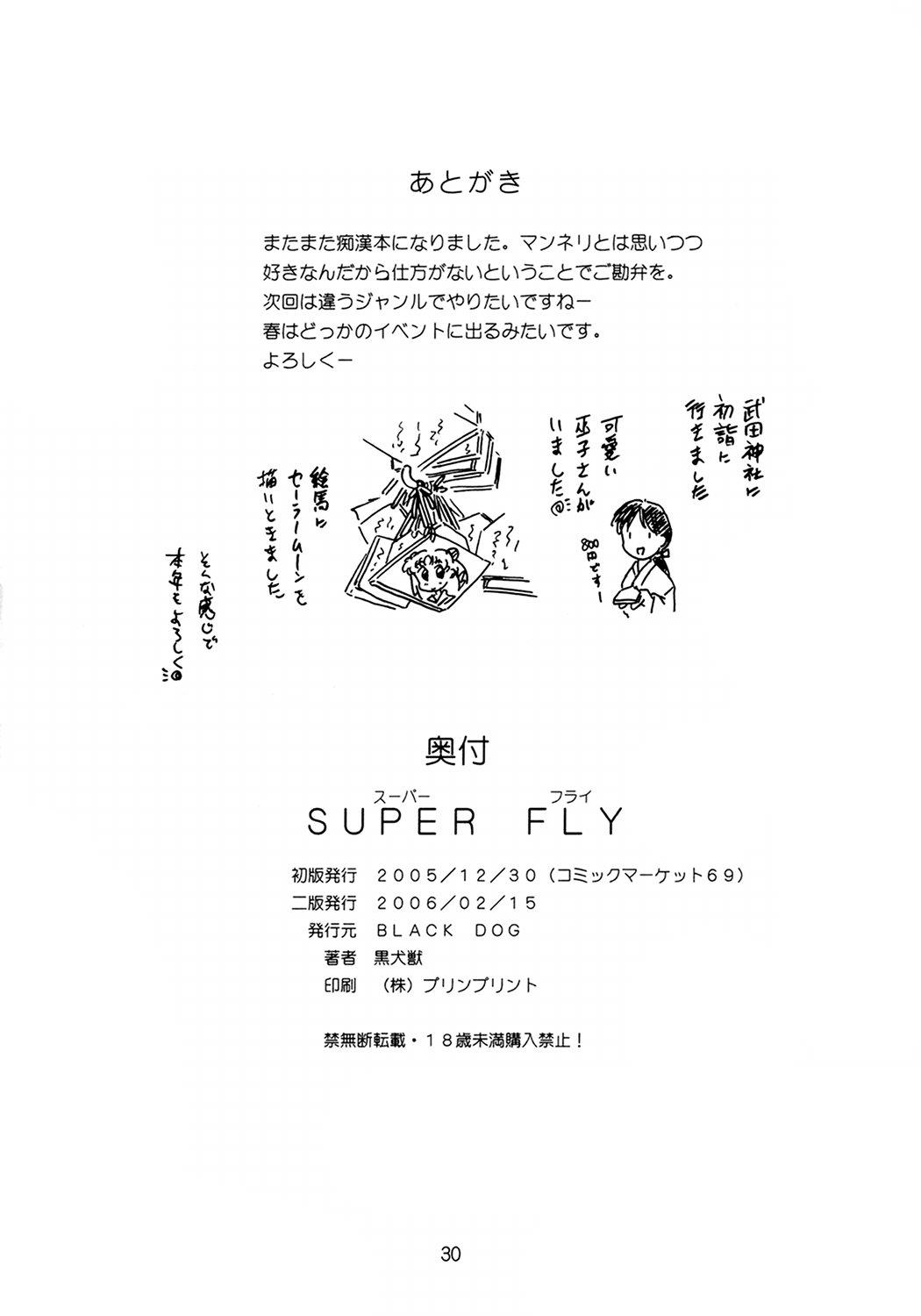 Swallow Super Fly - Sailor moon Porno - Page 29