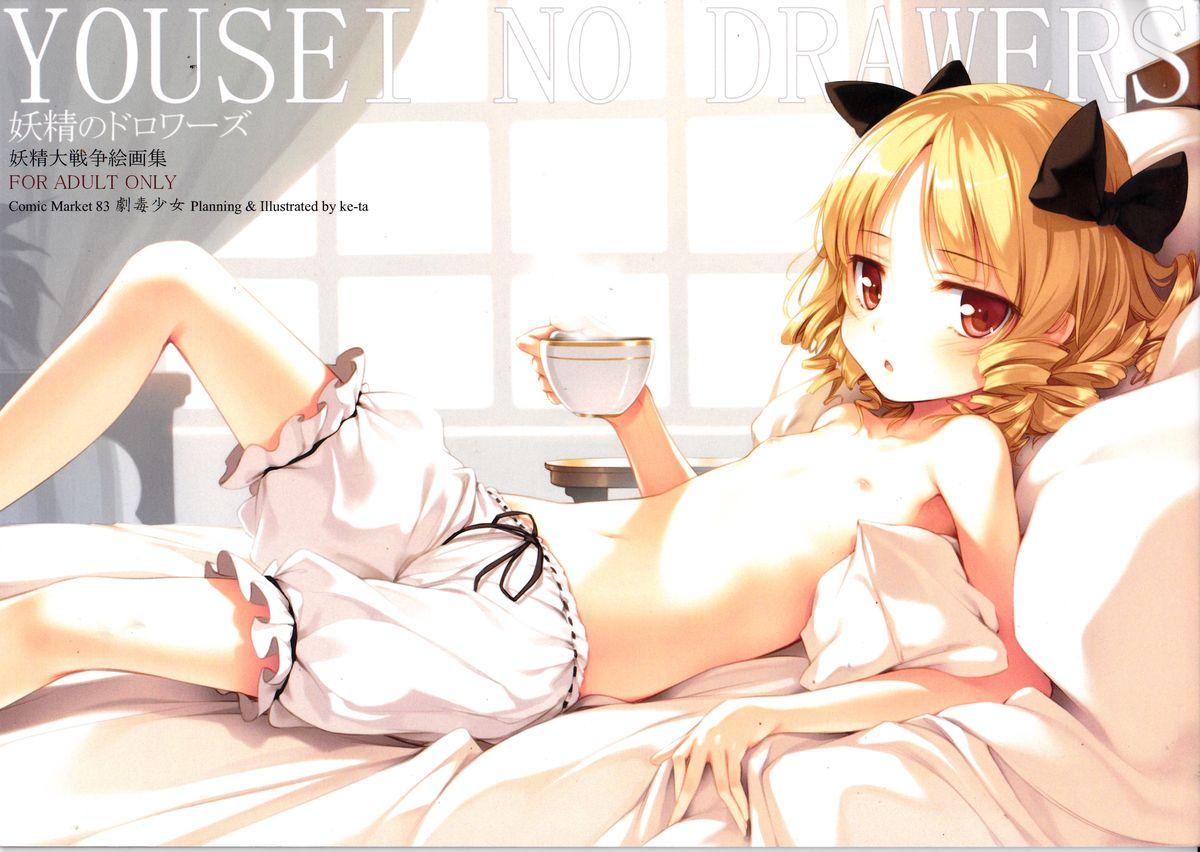 Spy Yousei no Drawers - Touhou project Solo Female - Picture 1