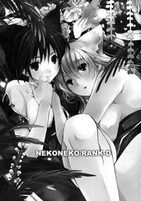 NekoNeko Rank D 3