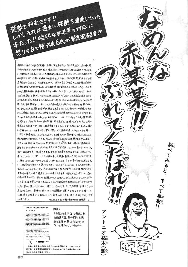 Bishoujo Kankin File 5 24