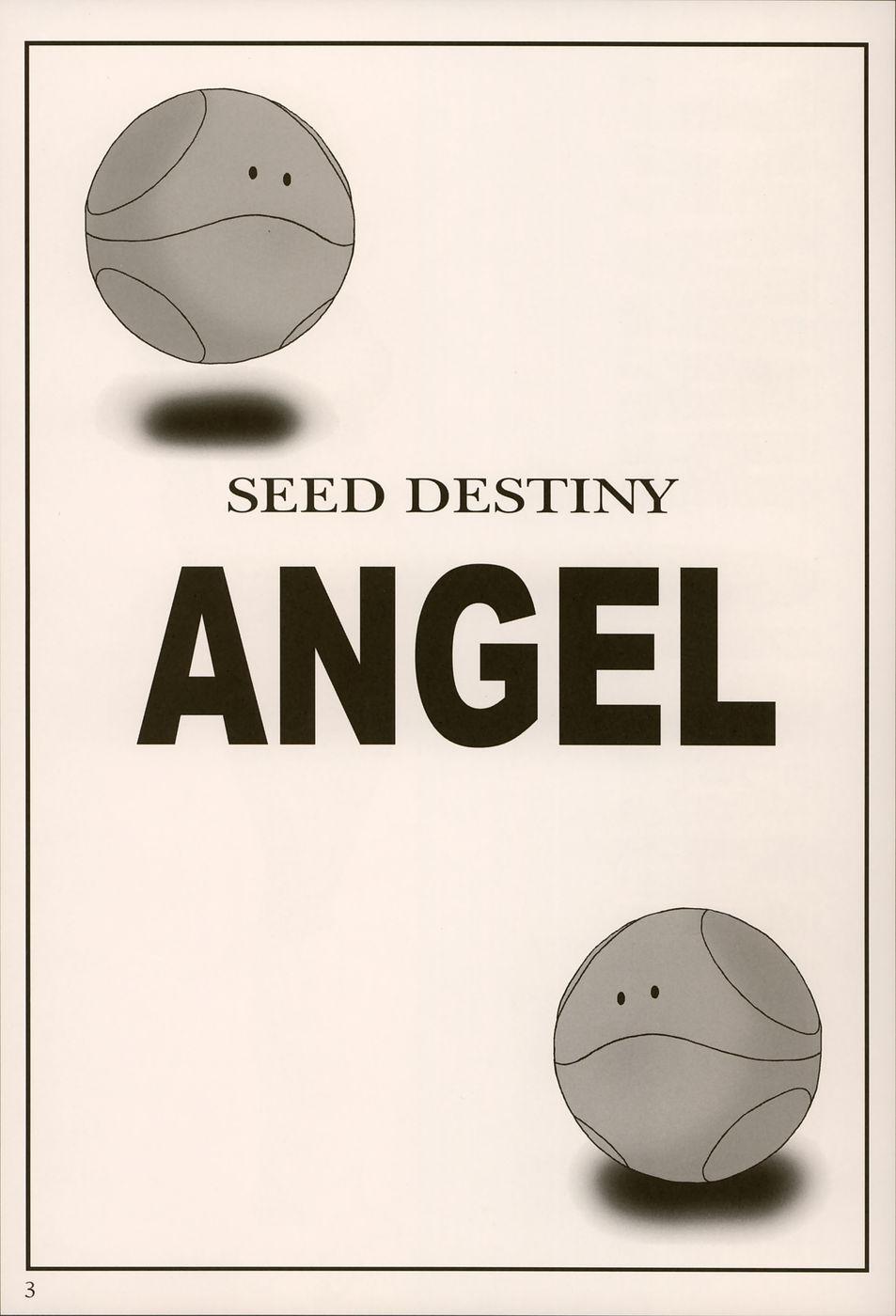 SEED DESTINY ANGEL 1 1