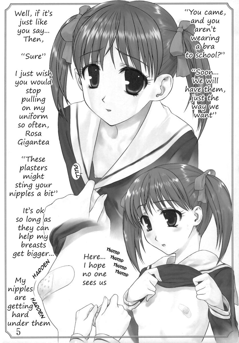 Dominicana Maria-sama no niwa de - Maria-sama ga miteru Thuylinh - Page 4