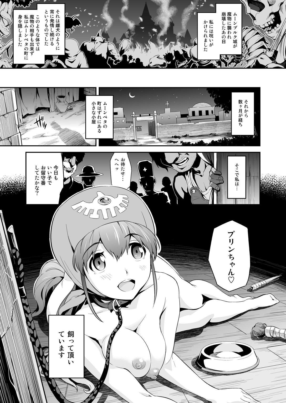 Huge Tits Shinsetsu Inu ni Natta Oujo-sama - Dragon quest ii Pussysex - Page 5